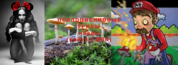 прущие крисы Абинск