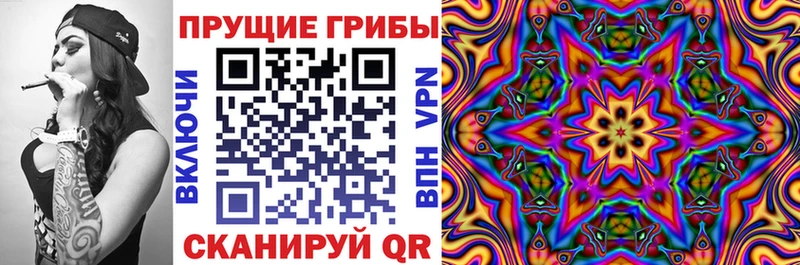 Псилоцибиновые грибы Psilocybine cubensis  Хабаровск 