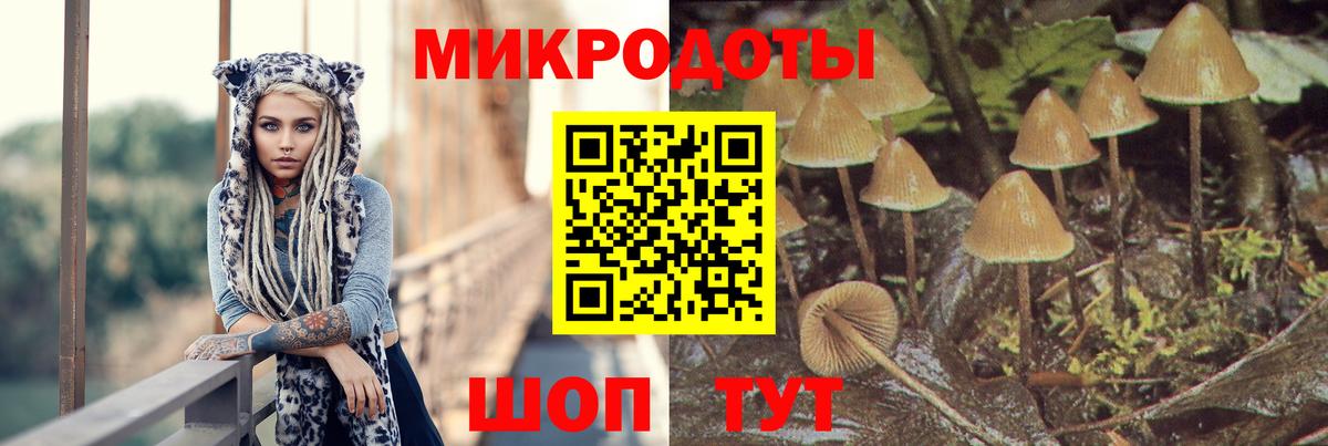 Галлюциногенные грибы Cubensis  Вход с VPN  Хабаровск 